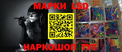 крисы Бийск