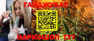 крисы Бийск